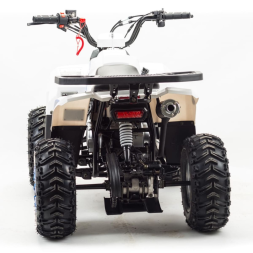 Квадроцикл MOTOLAND 110 Eagle (2021 Г.), фото 4 Квадроцикл MOTOLAND 110 Eagle (2021 Г.), фото 4