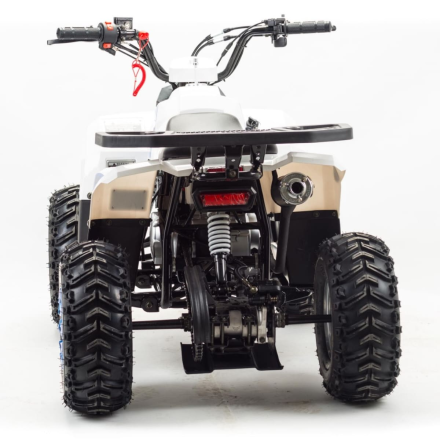 Квадроцикл MOTOLAND 110 Eagle (2021 Г.), фото 4