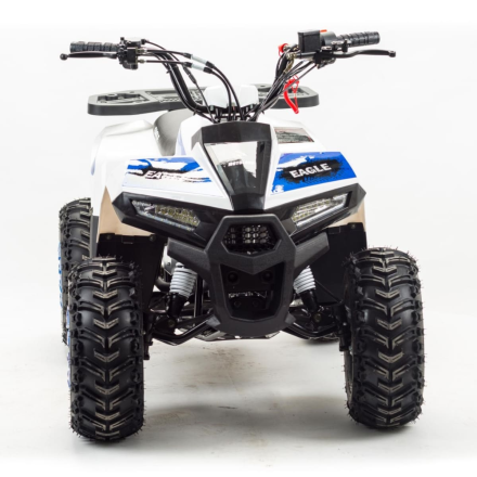 Квадроцикл MOTOLAND 110 Eagle (2021 Г.), фото 3
