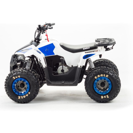 Квадроцикл MOTOLAND 110 Eagle (2021 Г.), фото 2