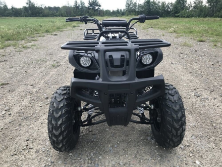 Квадроцикл HAMMER Hunter 300, фото 3