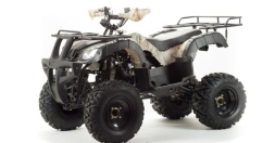 Квадроцикл HAMMER Hunter 300, фото 1 Квадроцикл HAMMER Hunter 300, фото 1