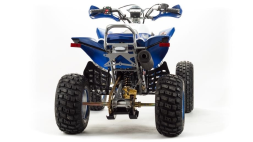 Квадроцикл MOTOLAND 250 Dakar, фото 5 Квадроцикл MOTOLAND 250 Dakar, фото 5