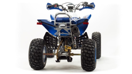 Квадроцикл MOTOLAND 250 Dakar, фото 5