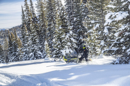 Снегоход POLARIS Patriot 9R RMK Khaos Slash 155, фото 3