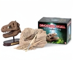 Юный археолог &quot; В поисках&quot; головы большого динозавра