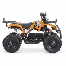 Квадроцикл MOTAX Mini Grizlik X-16 800W