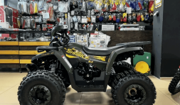 Квадроцикл YAMAHA Shark 175, фото 15 Квадроцикл YAMAHA Shark 175, фото 15