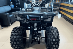 Квадроцикл YAMAHA Shark 175, фото 14 Квадроцикл YAMAHA Shark 175, фото 14