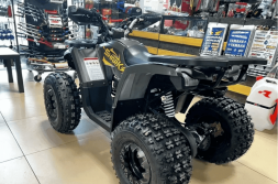 Квадроцикл YAMAHA Shark 175, фото 7 Квадроцикл YAMAHA Shark 175, фото 7