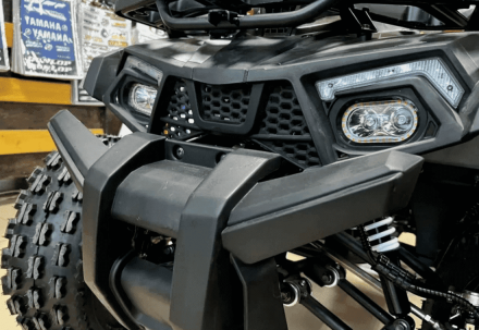 Квадроцикл YAMAHA Shark 175, фото 3