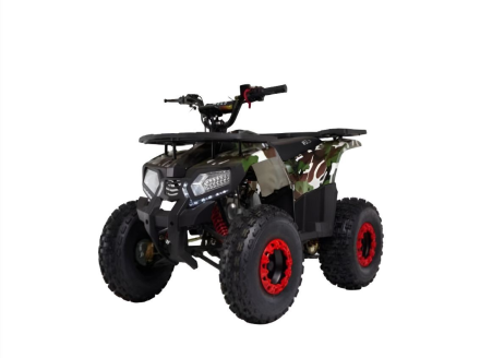 Квадроцикл WELS 125 thunder E2, фото 1