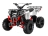 Квадроцикл ATV Commander Spark