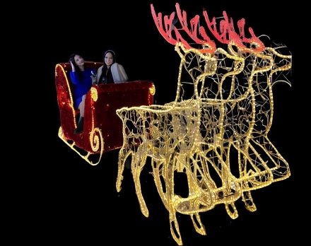 Световая фигура Карета с мишурой, фото 1