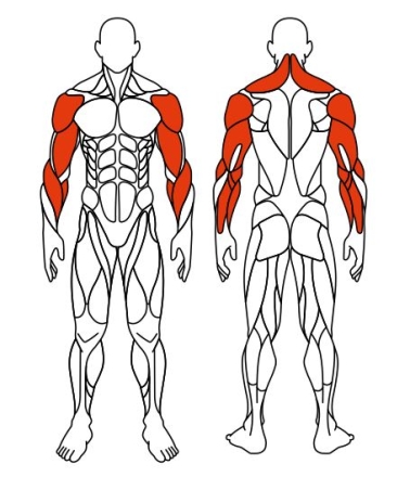 Рули (положение сидя) зеленый - Уличный тренажер - СТ 106-12, фото 6