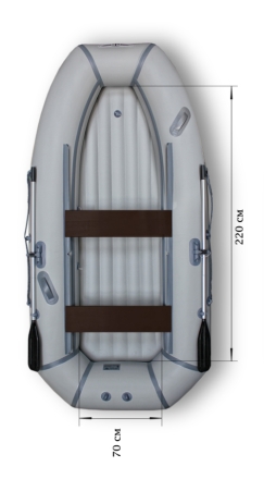 Моторная лодка ПВХ Флагман 300 HT НДНД надувная гребная, фото 1