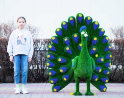 Топиари павлин Григориан, h=155 см - газон Eco, фото 5