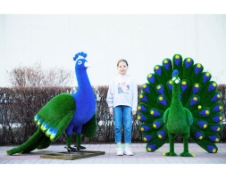 Топиари павлин Григориан, h=155 см - газон Eco, фото 9