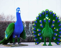 Топиари павлин Григориан, h=155 см - газон Eco, фото 6