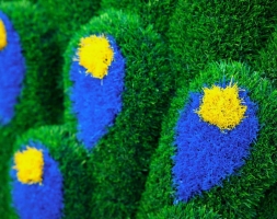 Топиари павлин Григориан, h=155 см - газон Eco, фото 12