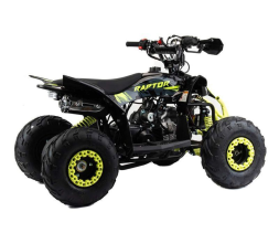 Квадроцикл MOTOLAND Raptor 110, фото 2 Квадроцикл MOTOLAND Raptor 110, фото 2