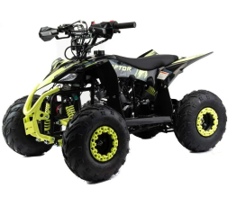 Квадроцикл MOTOLAND Raptor 110, фото 1 Квадроцикл MOTOLAND Raptor 110, фото 1