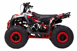 Квадроцикл WELS Thunder EVO M детский, фото 8
