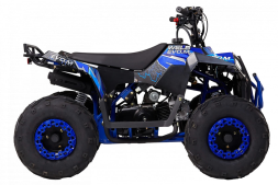 Квадроцикл WELS Thunder EVO M детский, фото 6