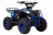 Квадроцикл WELS Thunder EVO M детский
