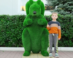 Топиари белка Лора - газон Deluxe, фото 3