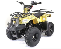Квадроцикл ATV Atomik TT