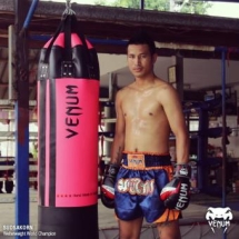Боксерский Мешок Venum venpaw09 Боксерский Мешок Venum venpaw09
