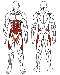Хипс+Маятник (серый) - Уличный тренажер - СТ 024-13.П, фото 6 Хипс+Маятник (серый) - Уличный тренажер - СТ 024-13.П, фото 6