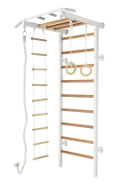 Стенка "ДСК - рукоход"