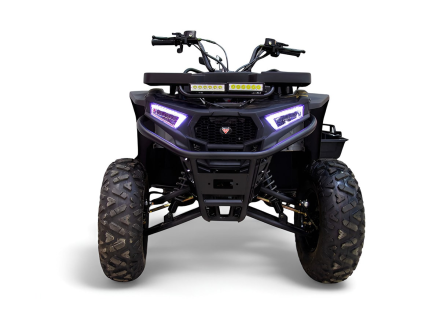 Квадроцикл MOTAX Grizlik W200, фото 3