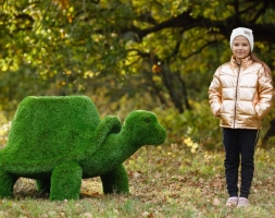 Топиари Черепаха с кашпо, Мудрая газон Eco, фото 5