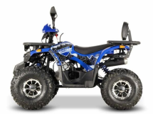 Квадроцикл GRIZZLY Aerox 125