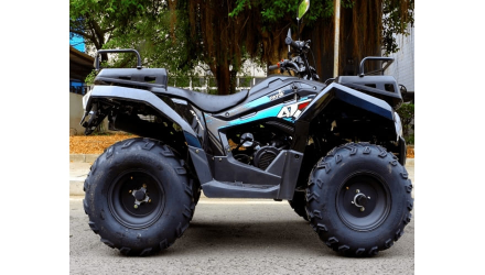 Квадроцикл RATO 200 Simple, фото 2