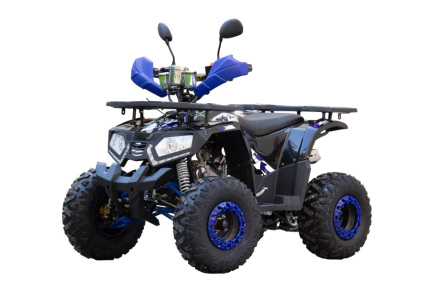 Квадроцикл UNIVERSAL ATV 125 TM Fusion plus, фото 1