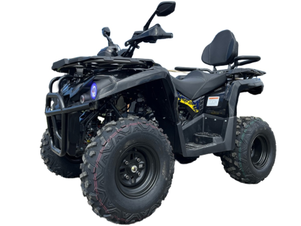 Квадроцикл МОТОМИР Hammer 200 Long, фото 1