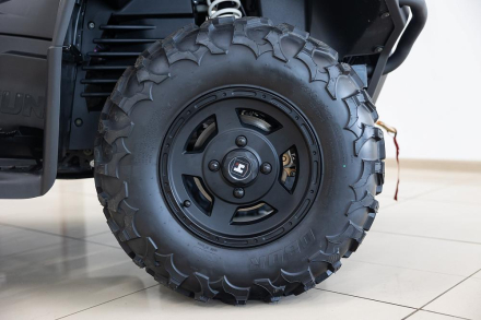 Квадроцикл HISUN Guardian 750S Short (ПСМ), фото 16