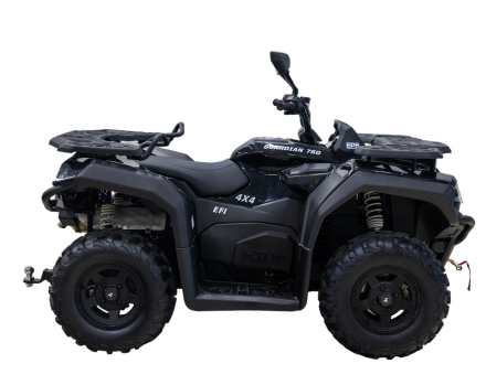 Квадроцикл HISUN Guardian 750S Short (ПСМ), фото 2