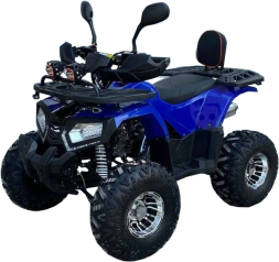 Квадроцикл GRIZZLY Aerox 125cc New 2022, фото 1