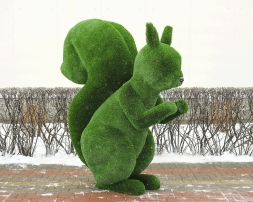 Топиари белка Роза - газон Deluxe, фото 1