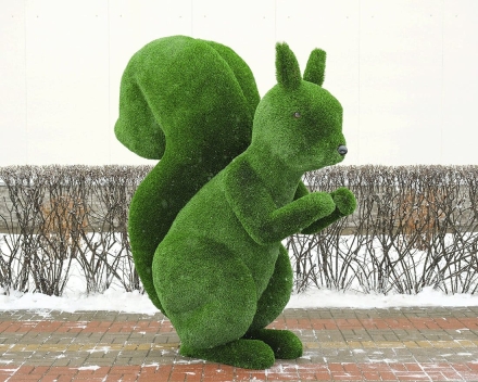 Топиари белка Роза - газон Deluxe, фото 1