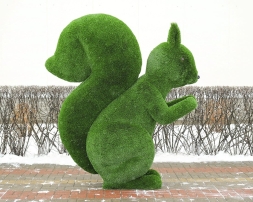 Топиари белка Роза - газон Deluxe, фото 2