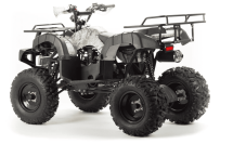 Квадроцикл MOTOLAND 200 All Road (2021 Г.)