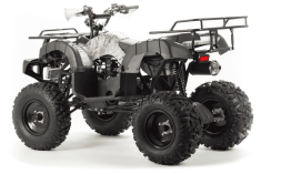 Квадроцикл MOTOLAND 200 All Road (2021 Г.), фото 4 Квадроцикл MOTOLAND 200 All Road (2021 Г.), фото 4