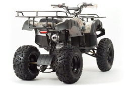 Квадроцикл MOTOLAND 200 All Road (2021 Г.), фото 3 Квадроцикл MOTOLAND 200 All Road (2021 Г.), фото 3