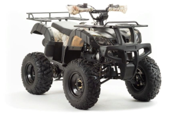 Квадроцикл MOTOLAND 200 All Road (2021 Г.), фото 2 Квадроцикл MOTOLAND 200 All Road (2021 Г.), фото 2